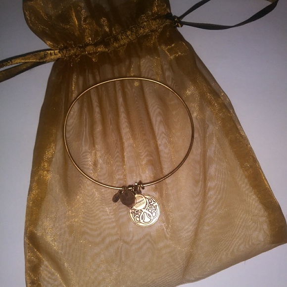 Alex and Ani Jewelry - Alex and Ani energy bracelet